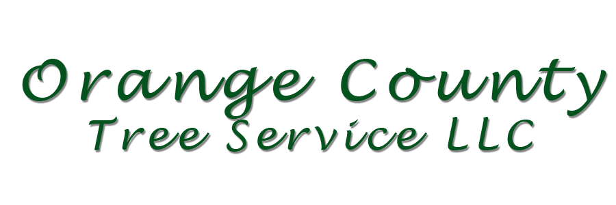 The logo for orange county tree service llc is green and white.