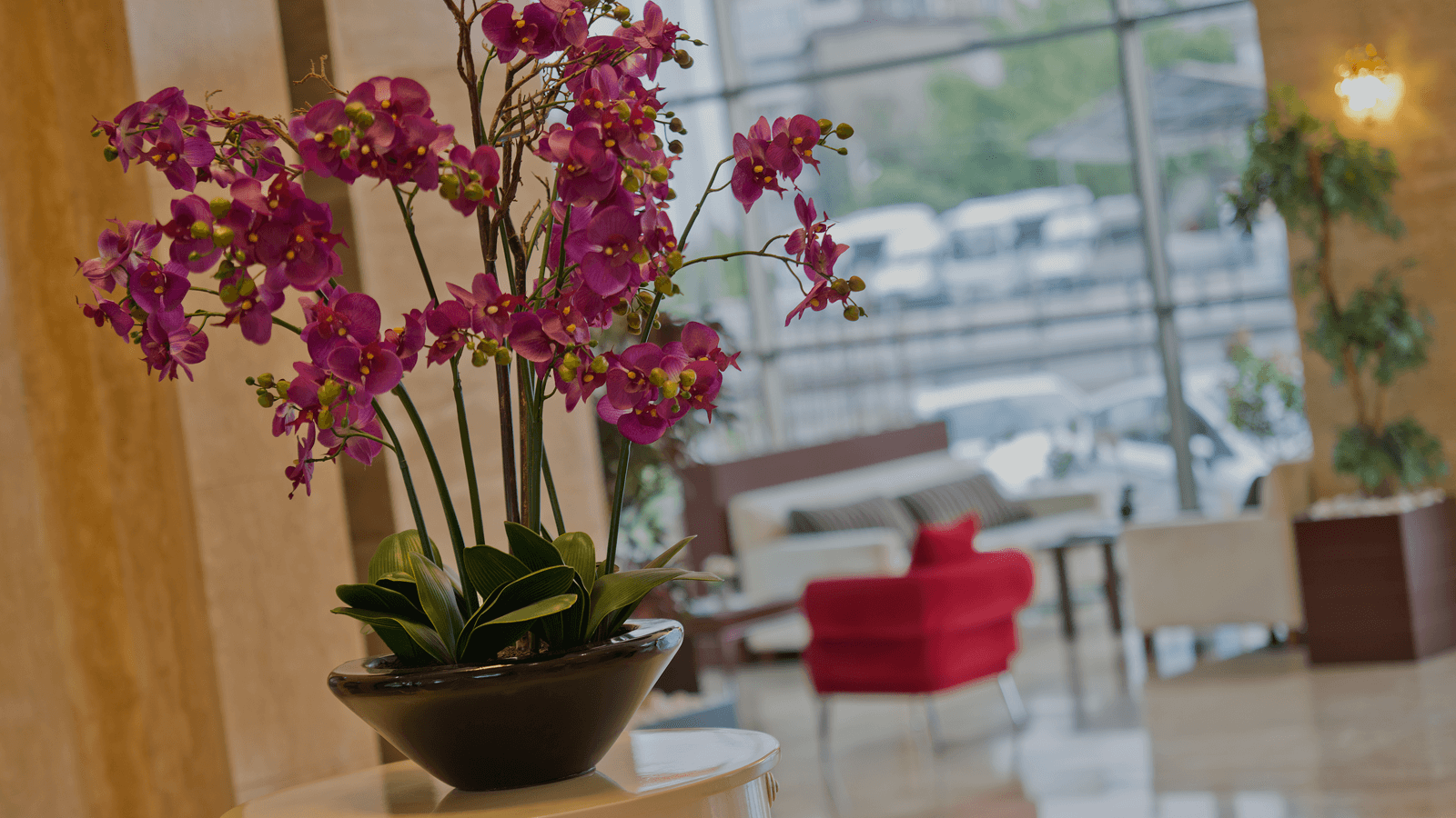 North Point Hotels, Lobi