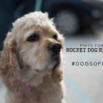 Pints for Pups with Rocket Dog Rescue