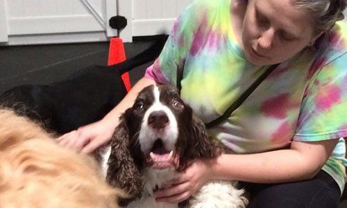 Doggy Day Care San Leandro, TX