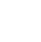 Icon - Phone