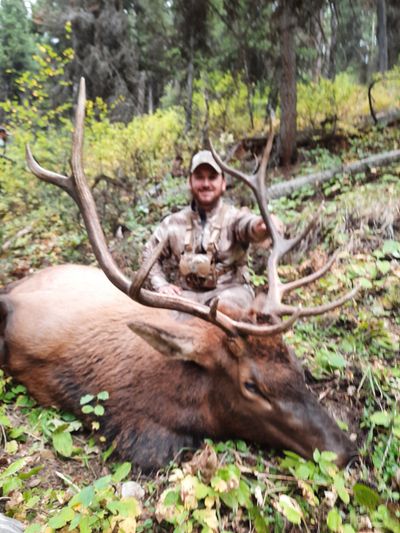 Rick Wemple Outfitting, Montana Mule Deer Hunting, Montana Elk Hunting