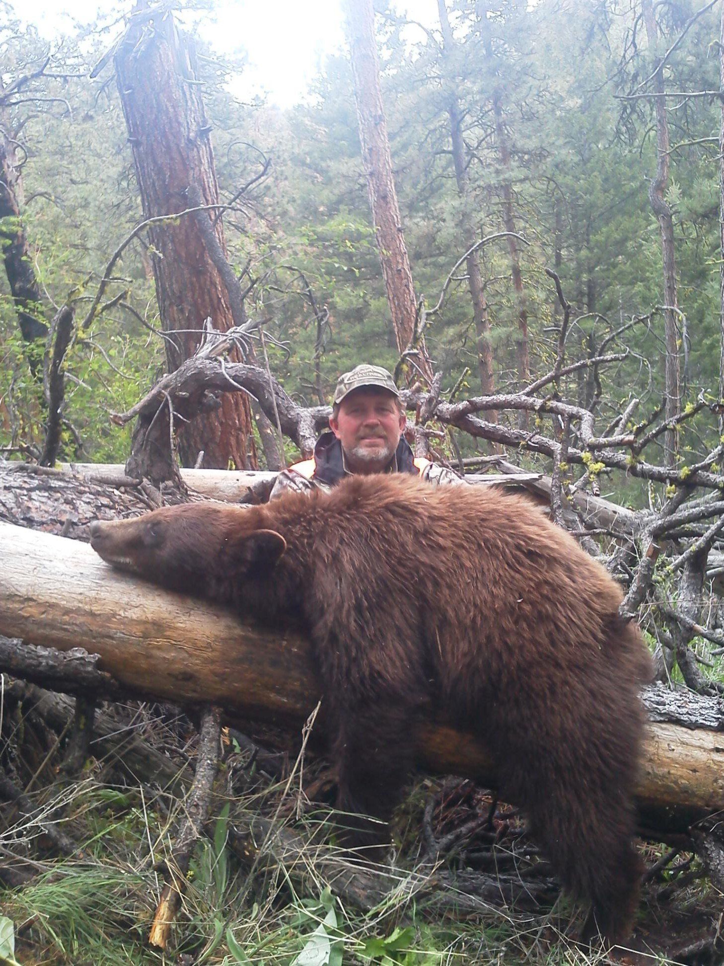 Montana Bear Hunting Outfitter, Rick Wemple Outfitting,  Montana Bear Hunt