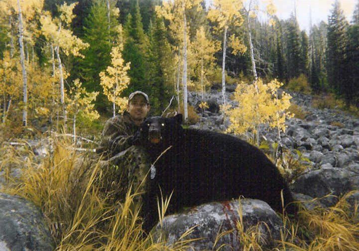 Montana Bear hunting, Montana Bear Hunt, MT Bear Hunting