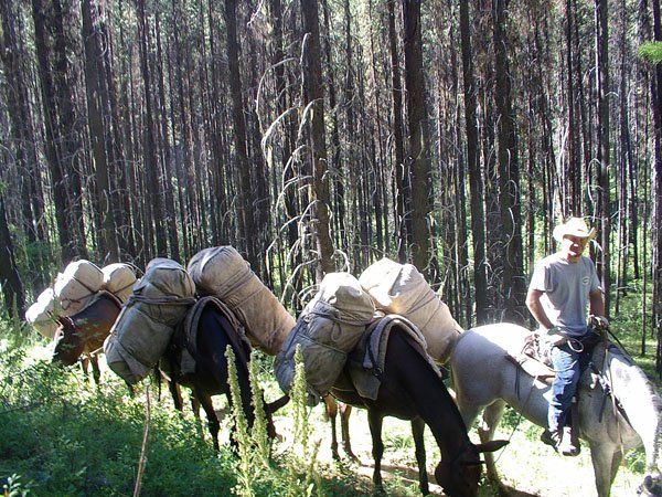 Montana Hunting camp, Rick Wemple Guide Service, Rick Wemple Guide School