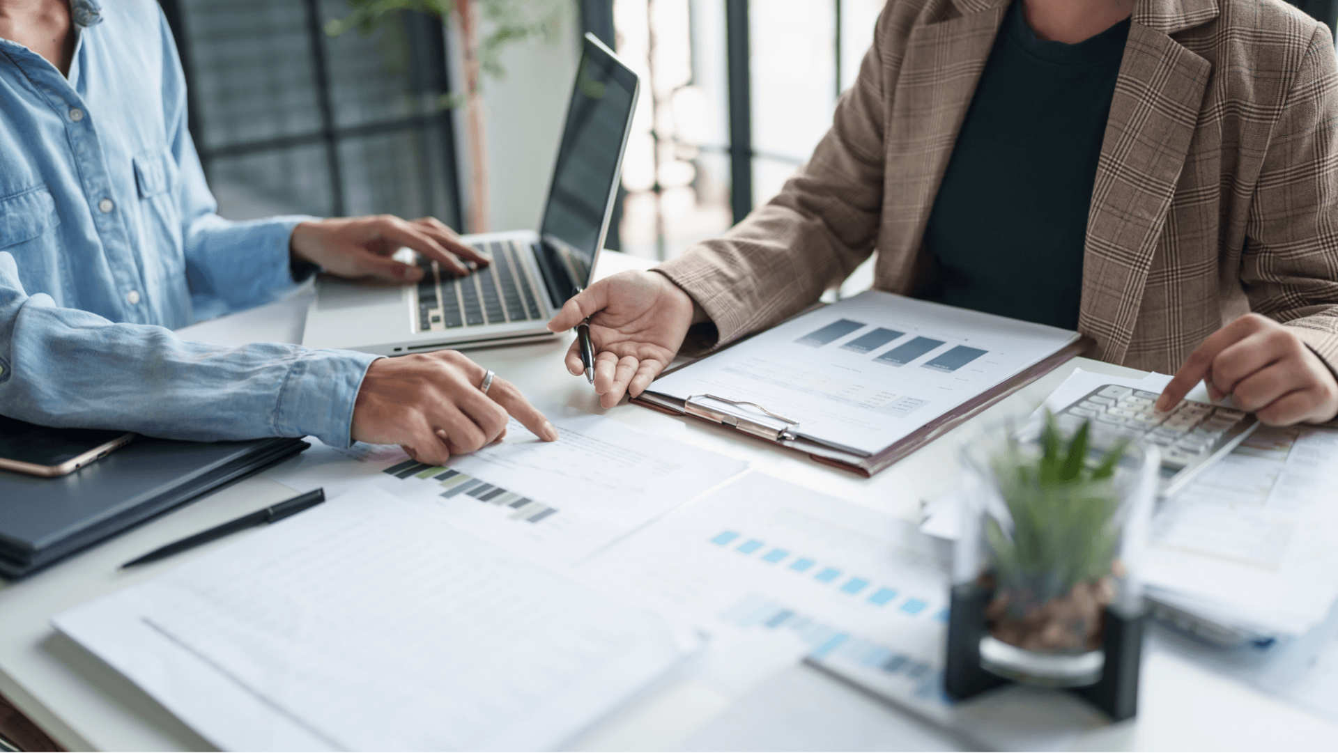 Two professionals reviewing financial charts and documents at a bright office desk with a laptop and a small desk plant.