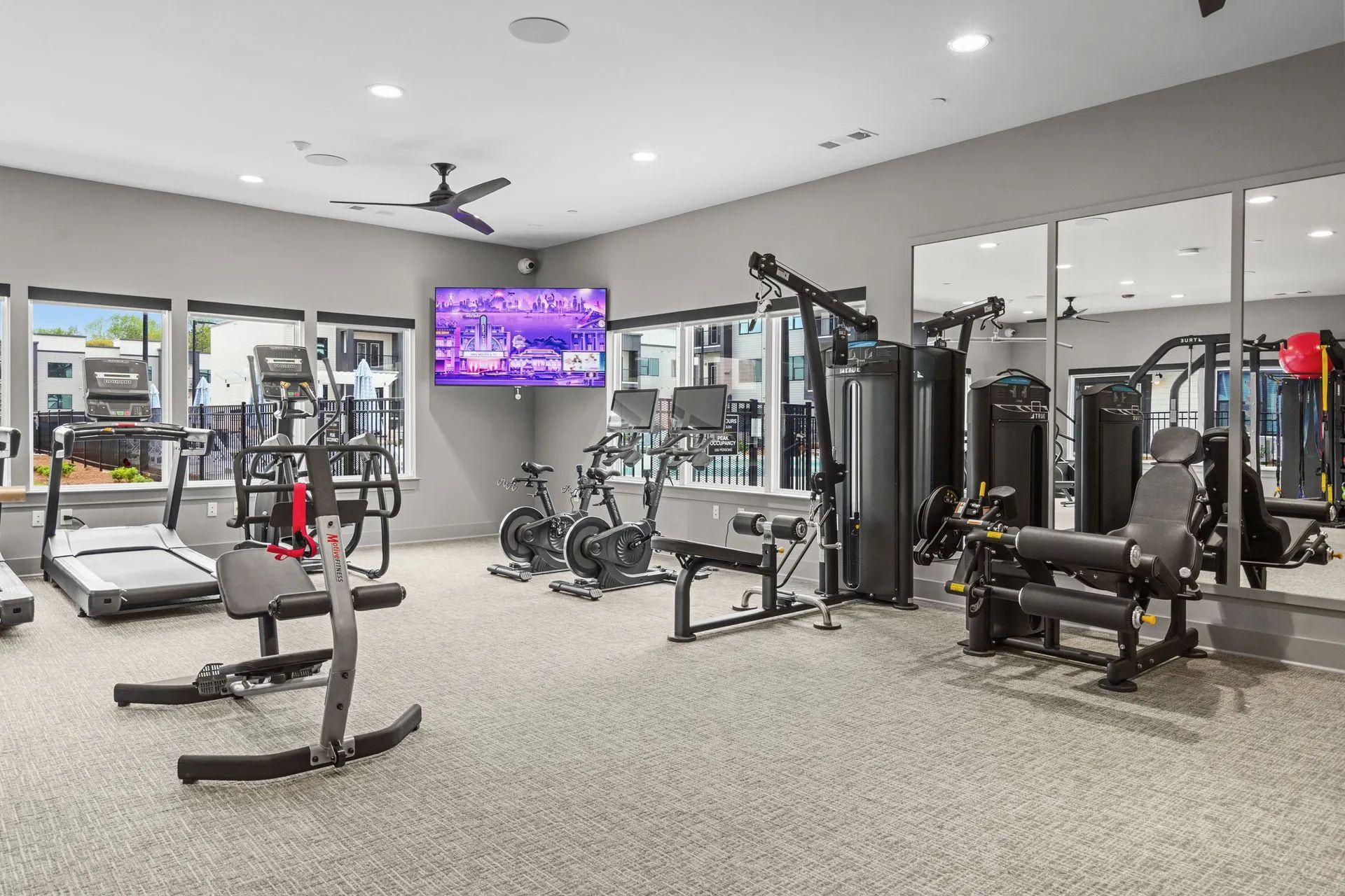 Gym with various exercise machines, windows, and TV. Gray walls and carpet.