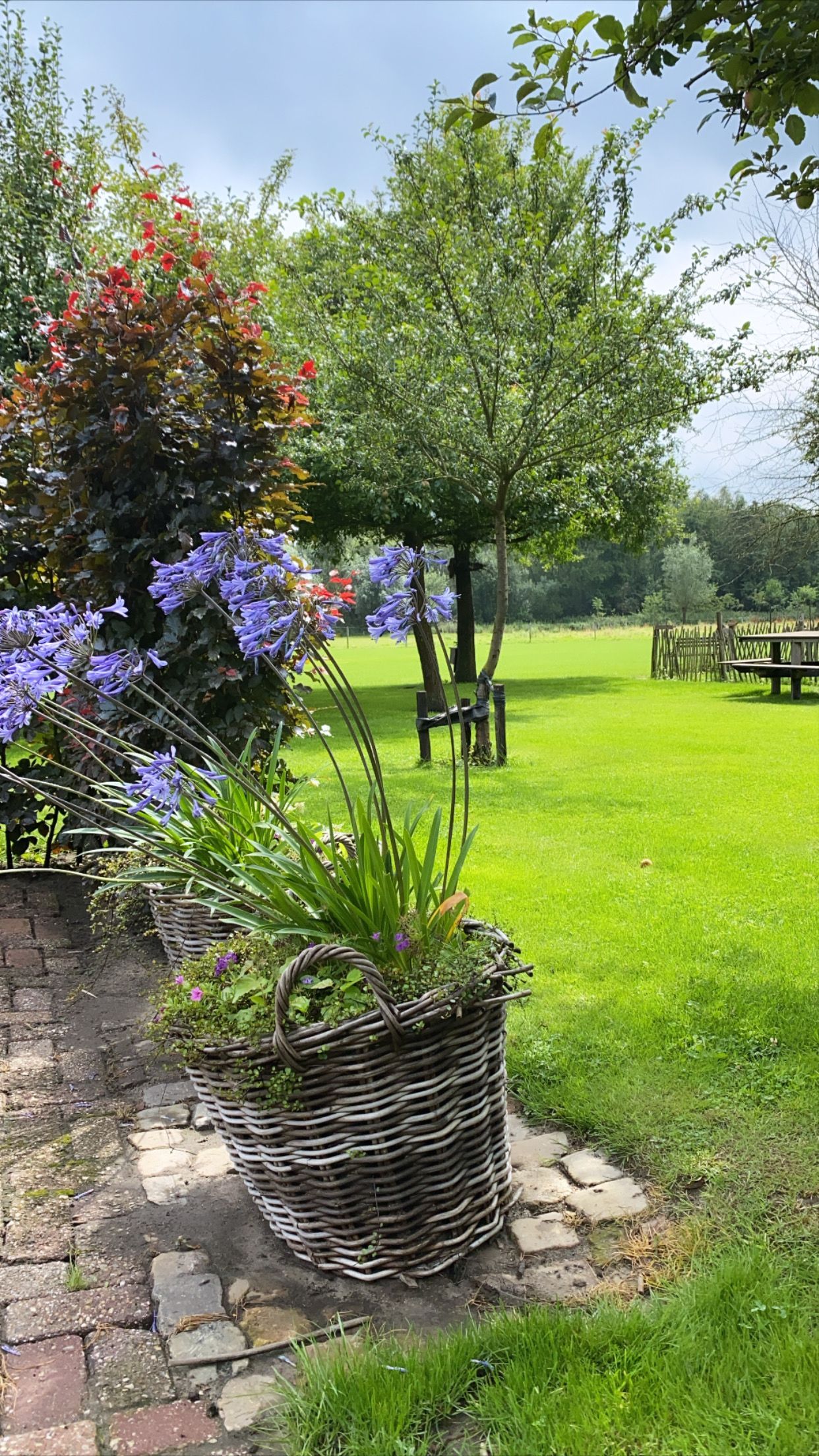 apparance weddings bruiloften trouwlocatie etten-leur Breda brabant landelijk bosrijke omgeving buiten trouwen