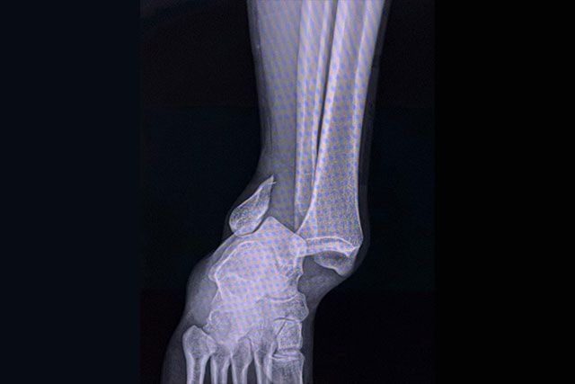 DR. JUAN CARLOS TORRES ARCHILA  