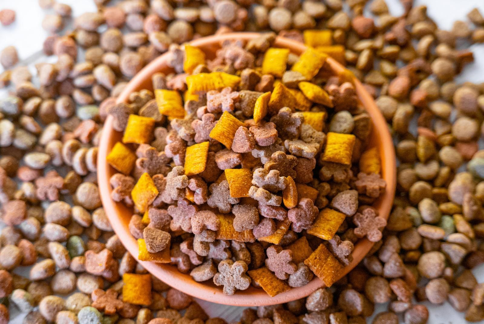 Top view raw and dry pet food in a bowl 