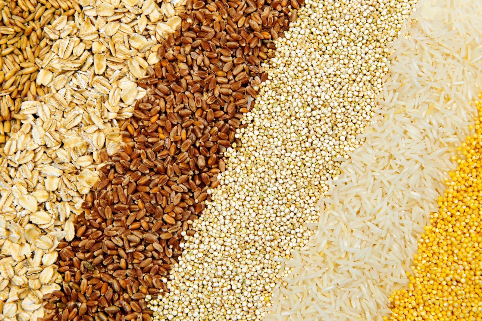 Various grains close up


