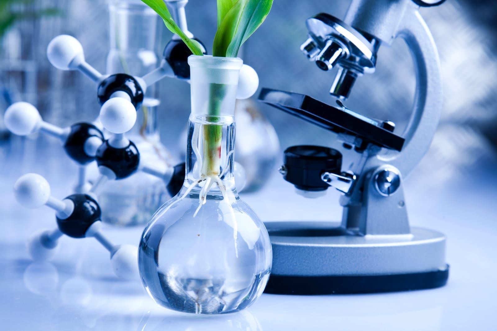 laboratory with cell model and microscope with a plant in a bottle