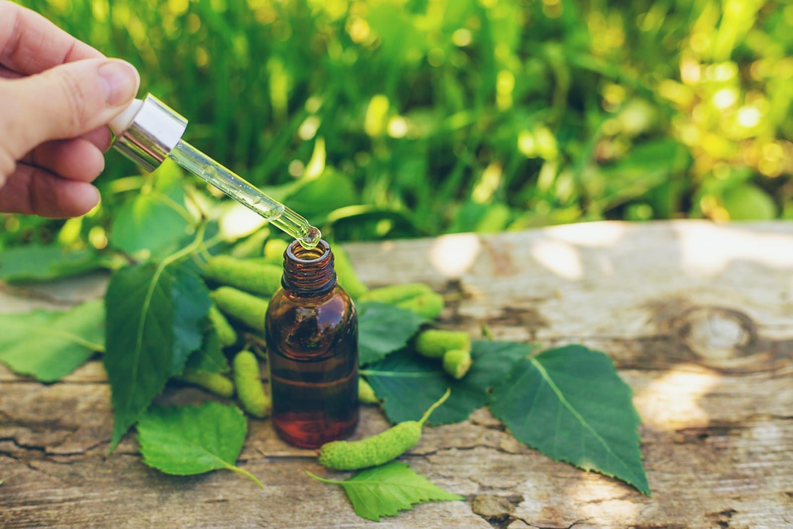 birch buds extract and supplements. Selective focus. nature.
