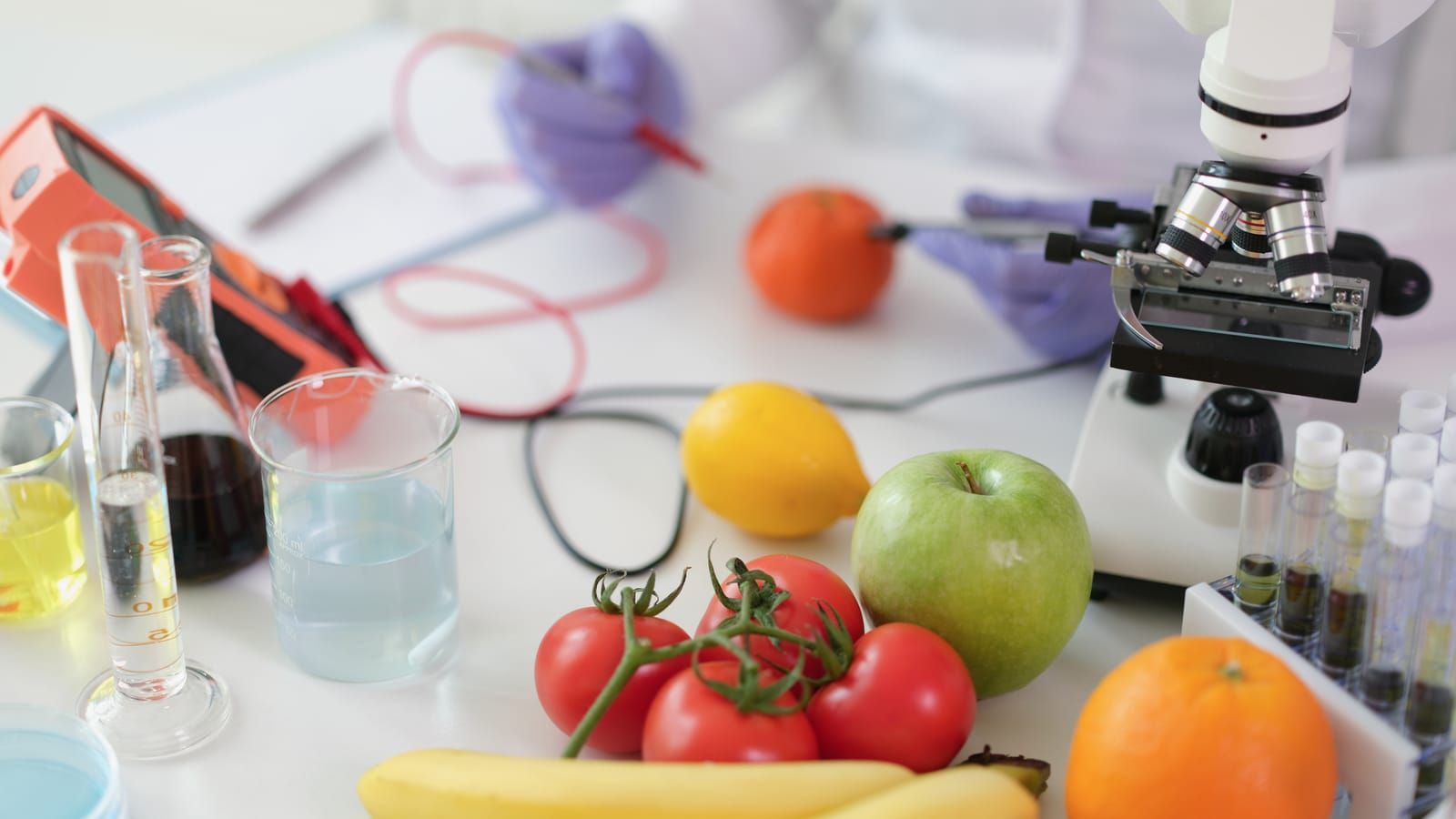 Fruits being looked at in a lab