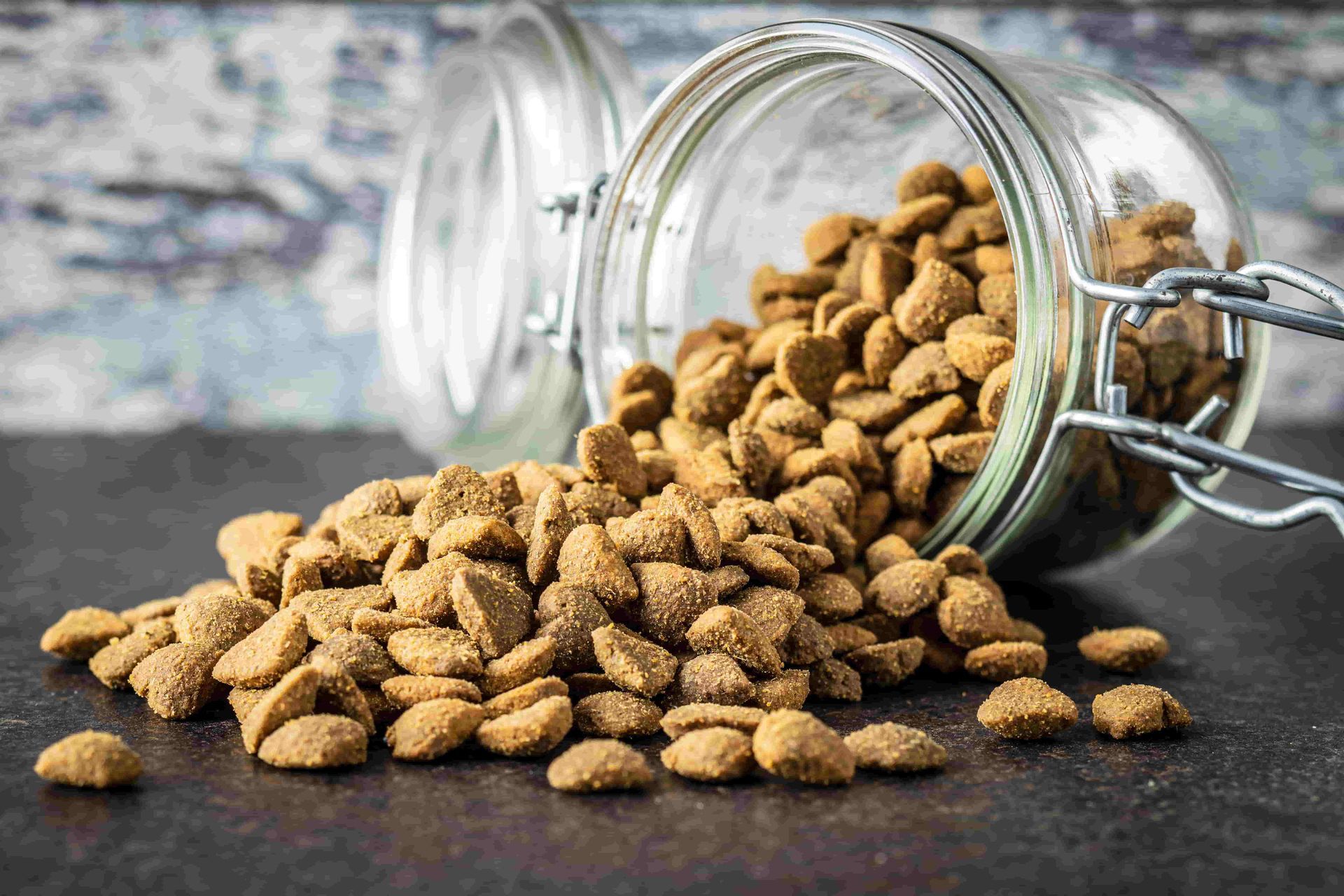 clear jar with dry pet food spilling on counter