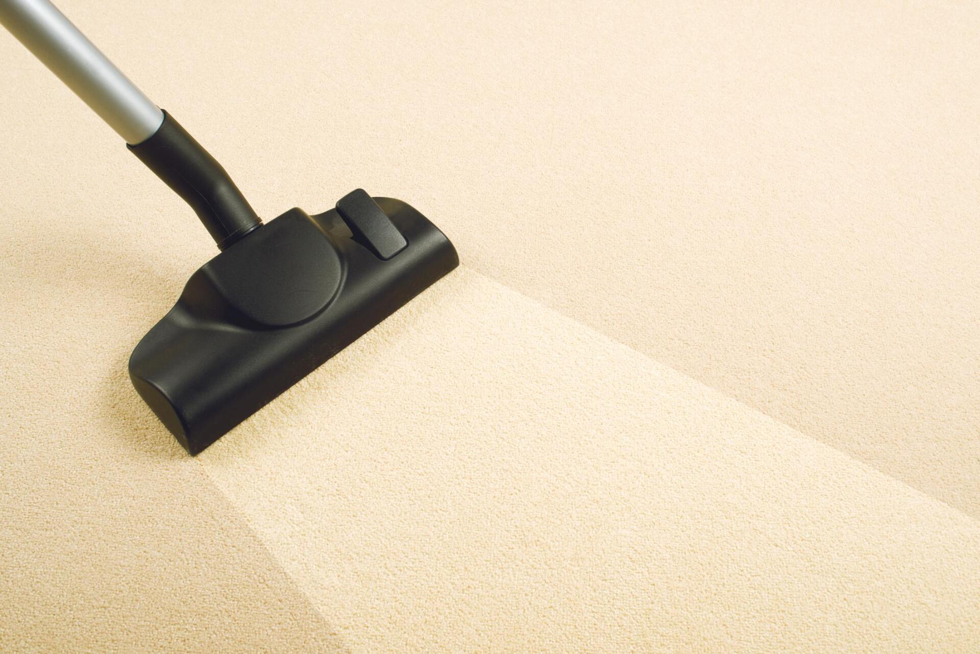 a vacuum cleaning the carpet
