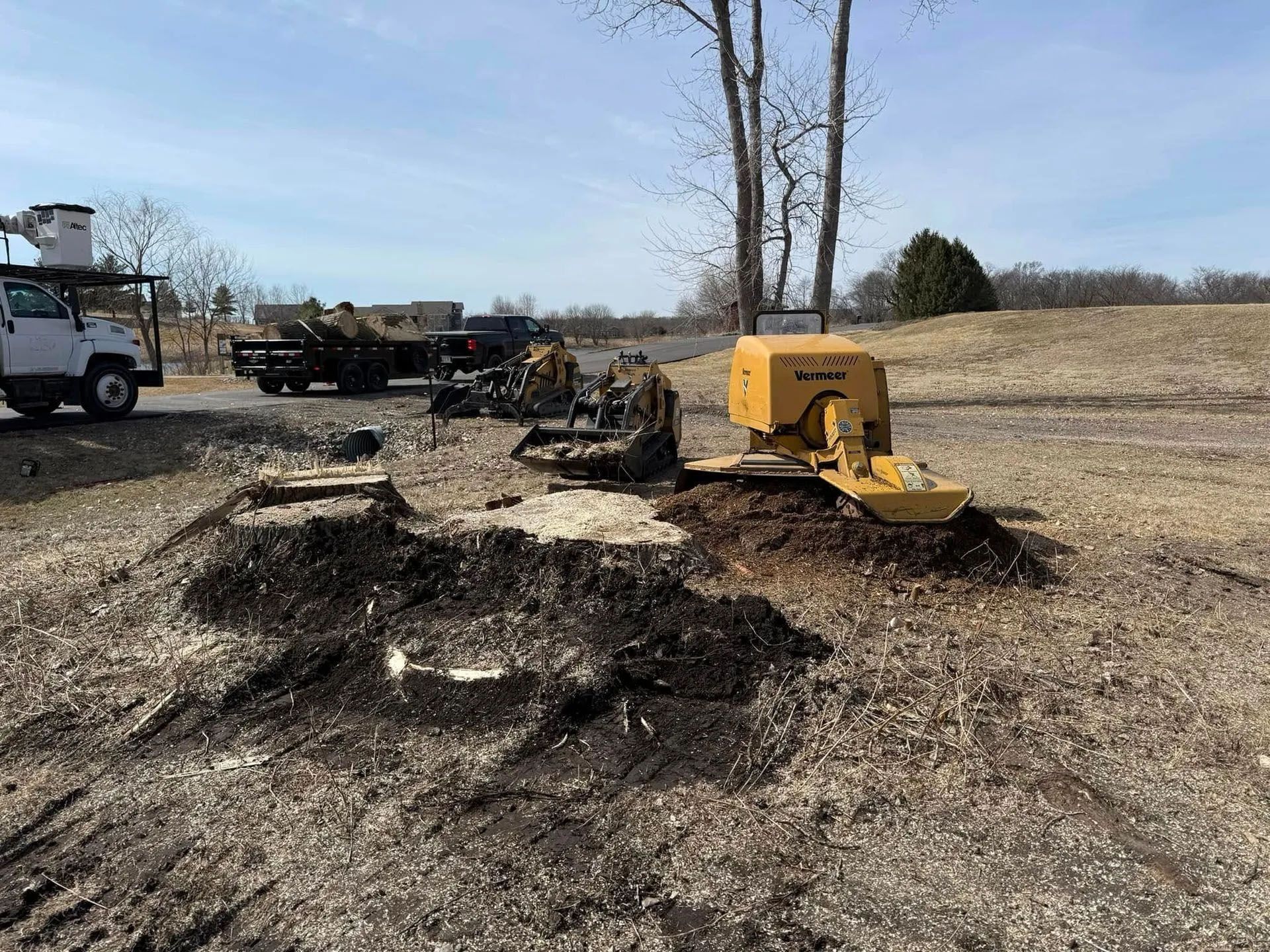 A stump grinder is being used to remove a tree stump.