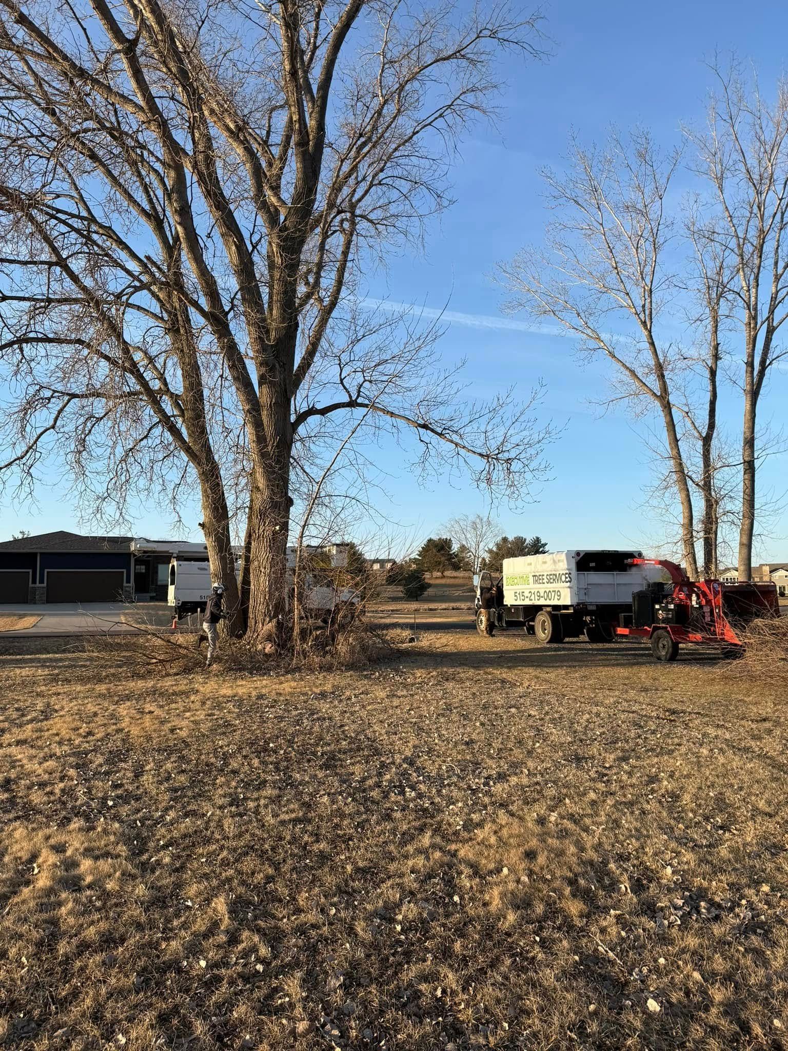 A truck is parked in a field next to a tree.