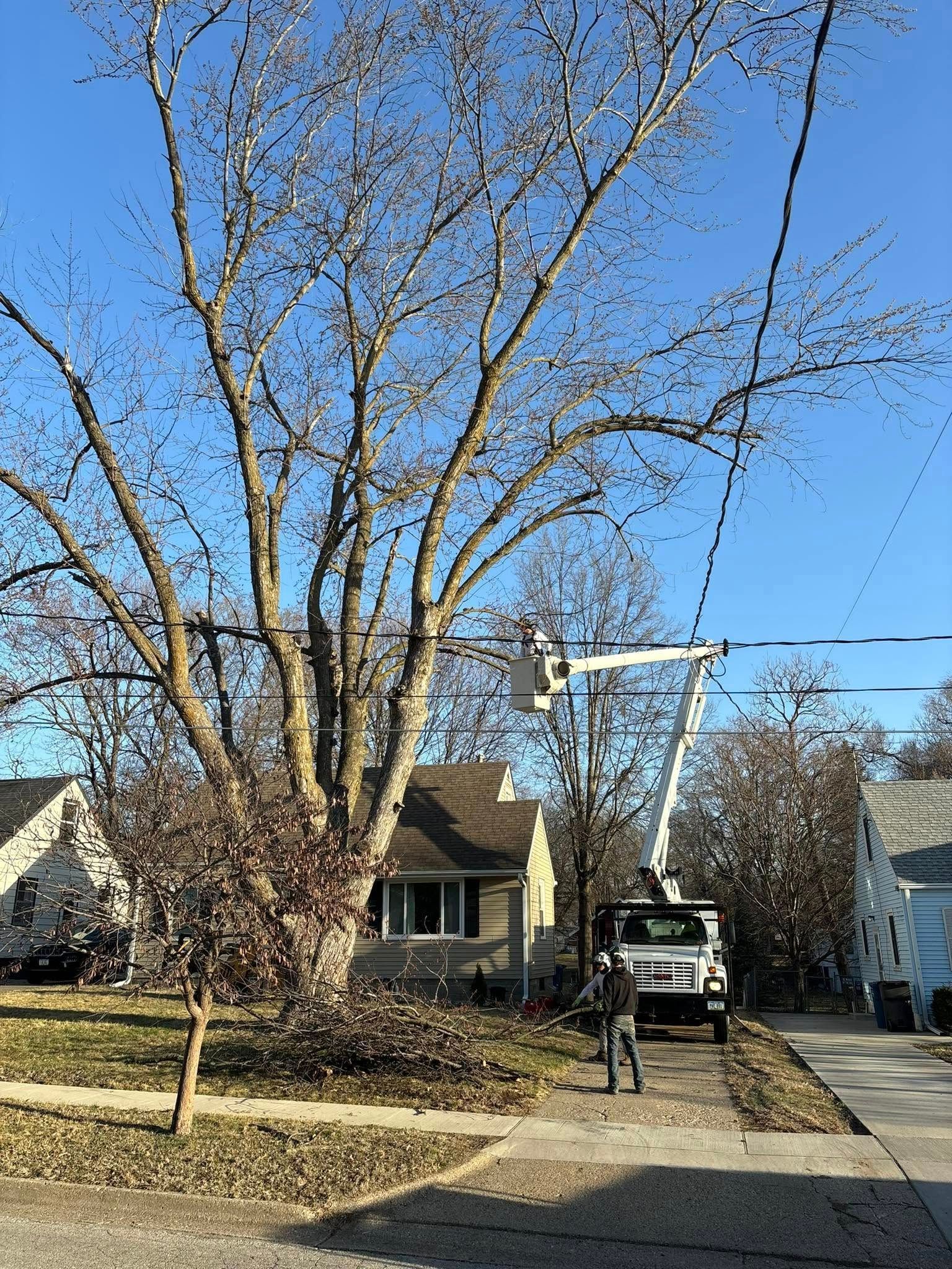 A man is cutting a tree with a crane in front of a house.