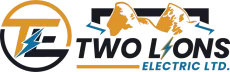 Logo for Two Lions Electric Ltd., featuring text and two lion profiles with lightning bolts.