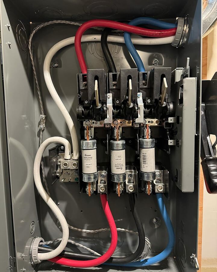 two-lions-electric-img