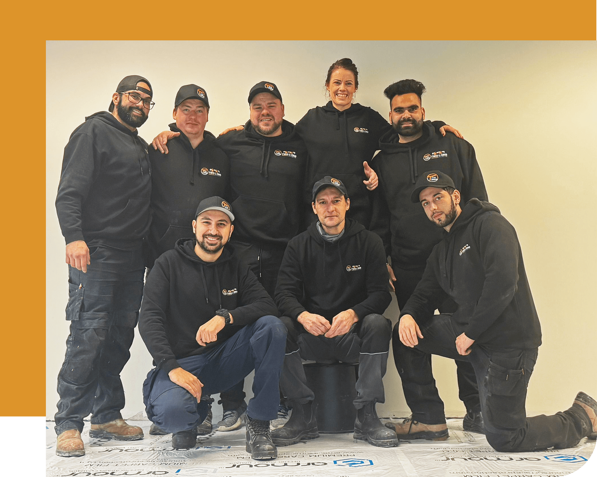 two-lions-electric-img