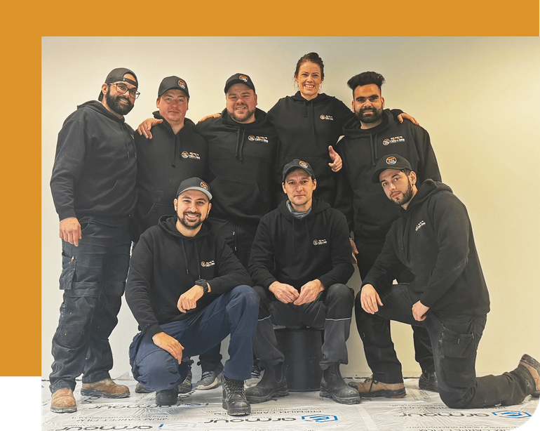 two-lions-electric-img