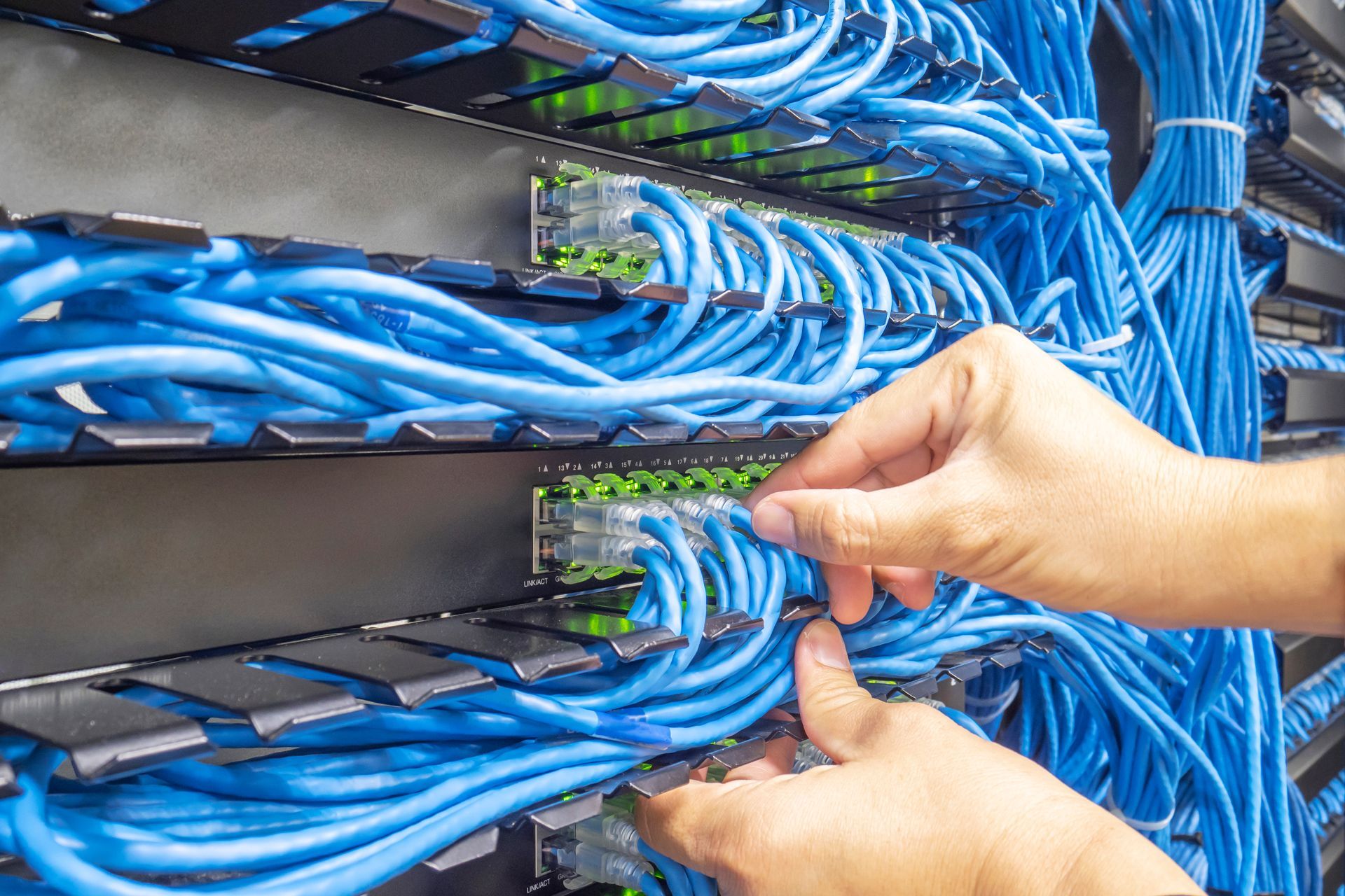 Professional Technician Managing Internet Cables