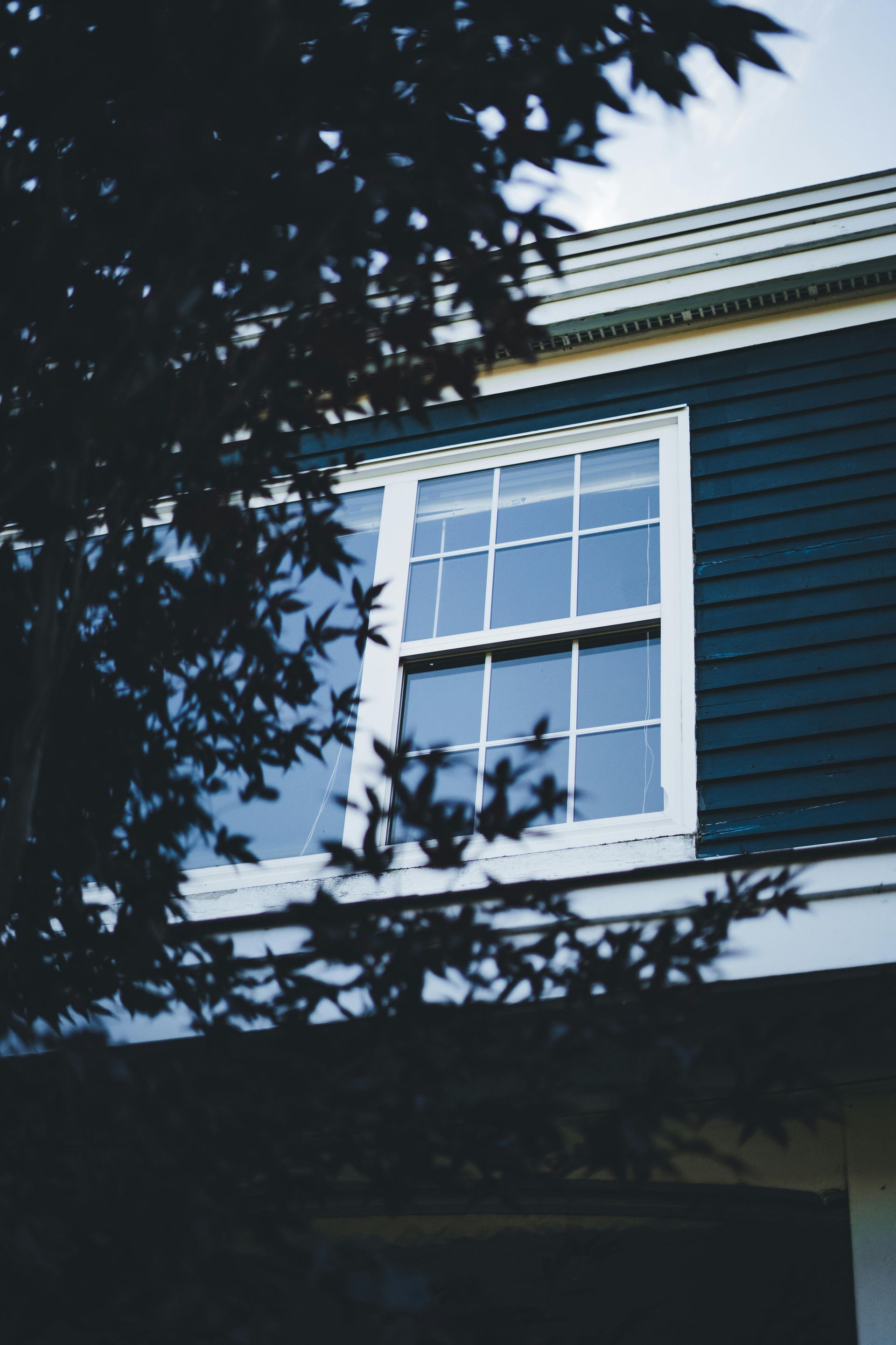 A dark-paneled house exterior featuring a multi-paned window partially obscured by the leaves of a tree.