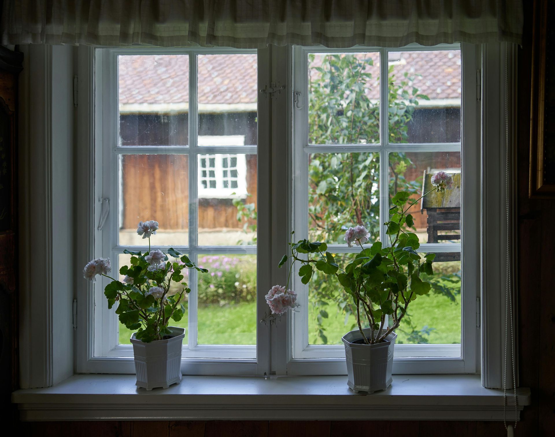 Two white pots with flowering green plants sit on a white windowsill in front of a window overlooking a grassy yard.