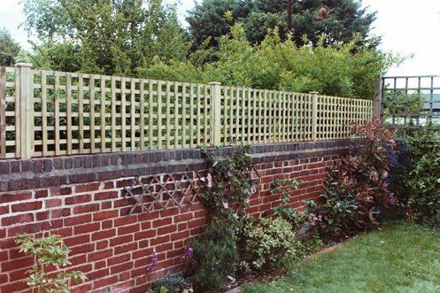 Trellis designs 16