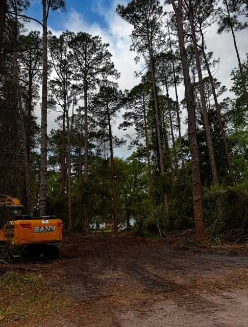A yellow excavator is parked in the middle of a forest