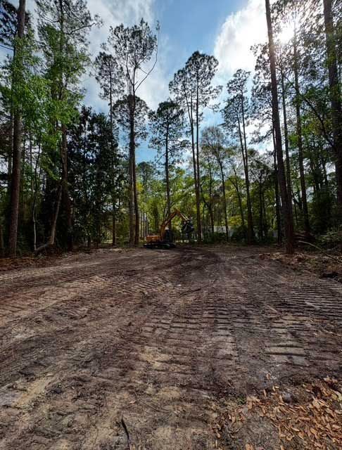 A dirt road in the middle of a forest
