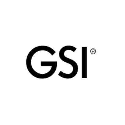 Logo GSI
