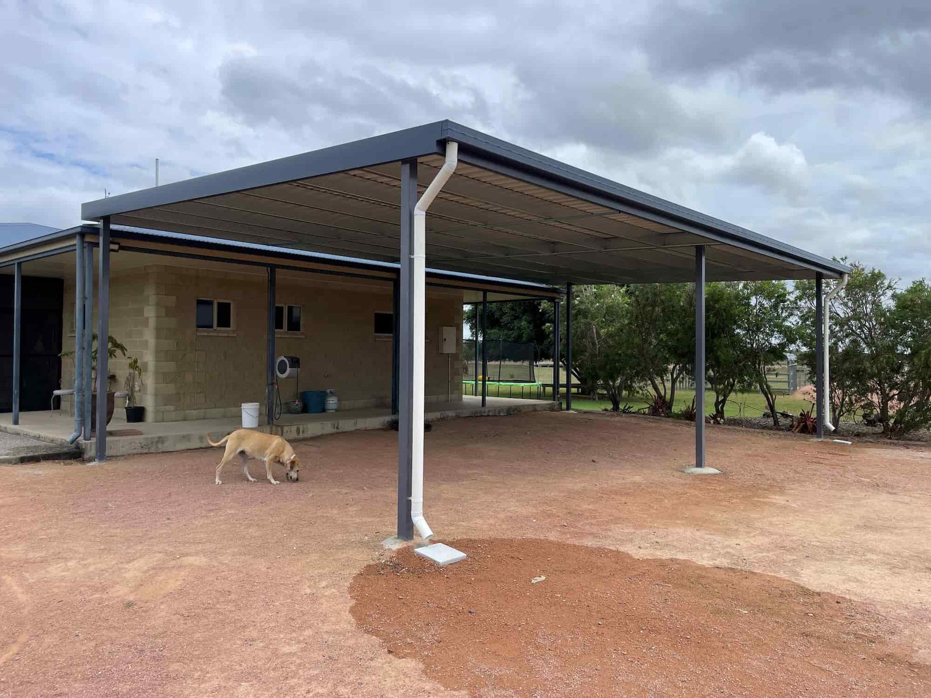 A Dog is Walking Under a Carport in Front of a House — Shedquarters In Kirwan, QLD