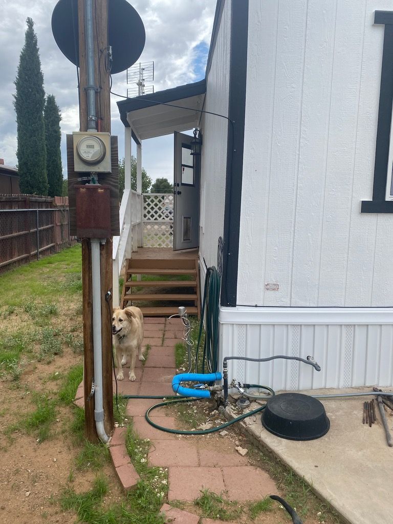 Electrical Panel Attached to the Pole With a Dog Behind — Bullhead City, AZ — River City Electrical Contracting