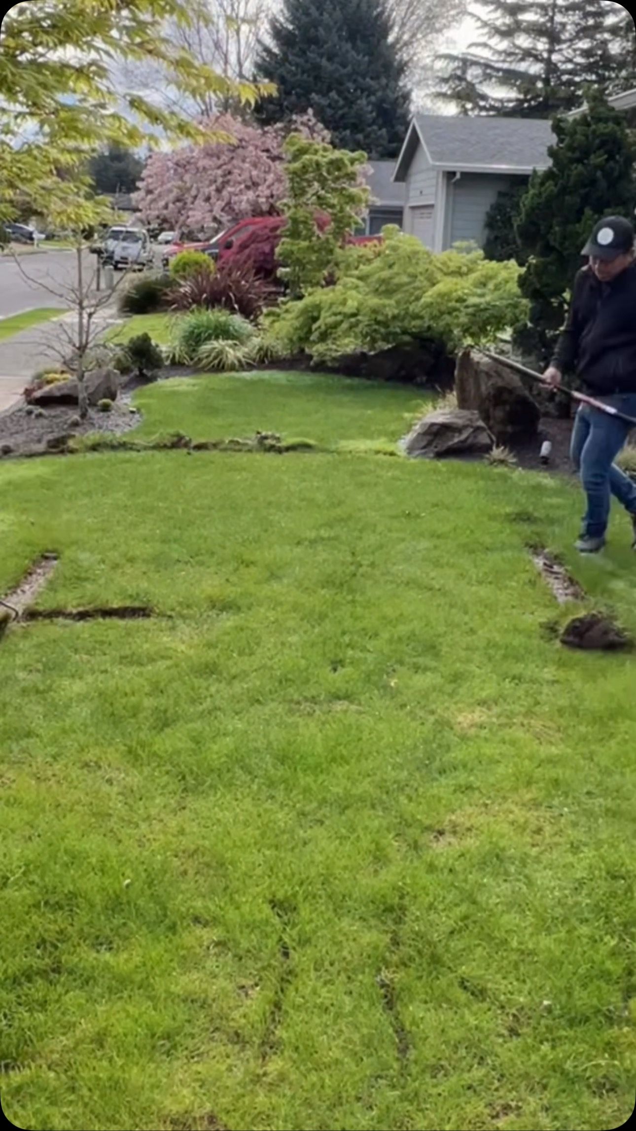 Person edging a grassy lawn in front of a house with colorful spring flowers.