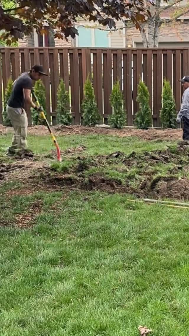 Two men working in a yard, one raking dirt near a row of green trees, brown fence in background.