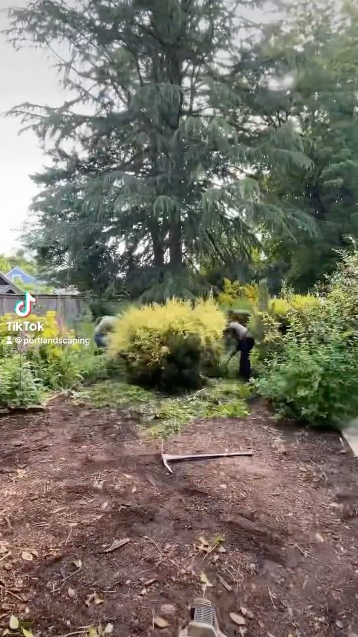 People gardening, clearing debris from a patch of dirt in a garden. Lush greenery surrounds them.
