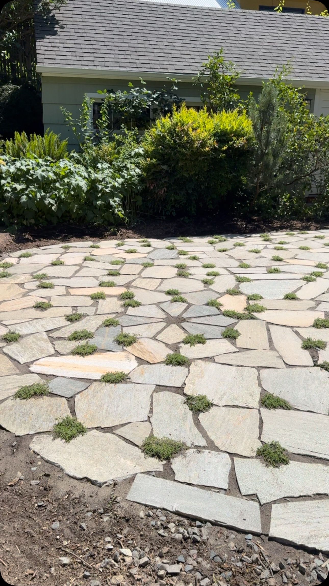 Stone patio with small plants growing between the stones, in front of a house.