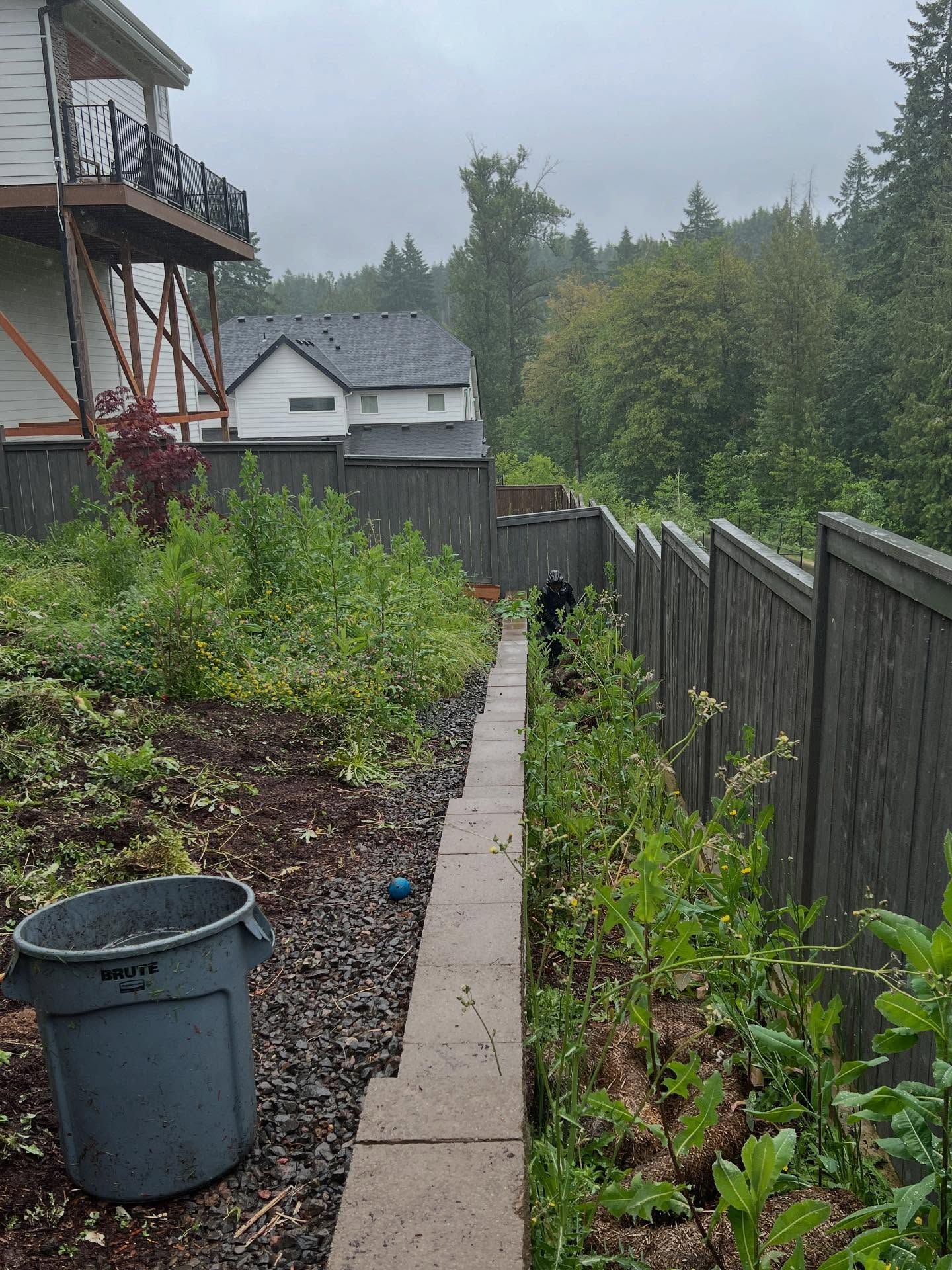 Overgrown backyard with a retaining wall and fence, under an overcast sky. A trash can sits in the yard.