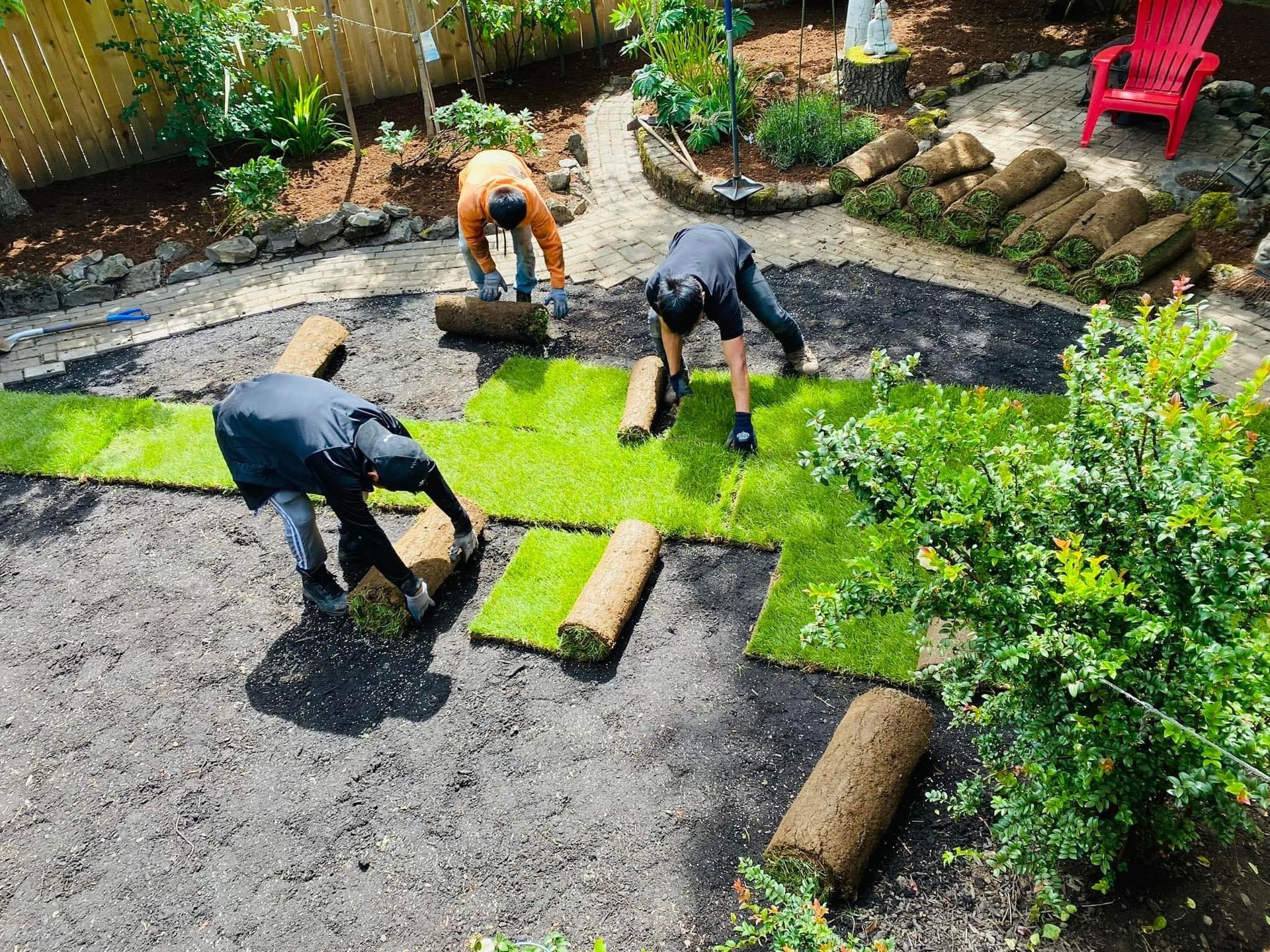 Three people laying sod rolls in a yard, with one person in an orange shirt.
