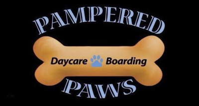 Pampered paws hot sale dog boarding