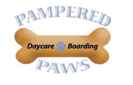 pampered paws logo