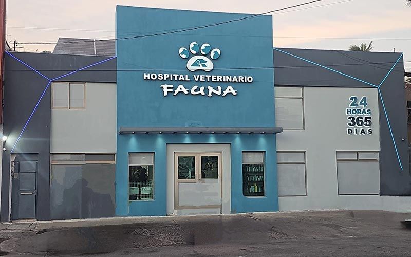 HOSPITAL VETERINARIO FAUNA