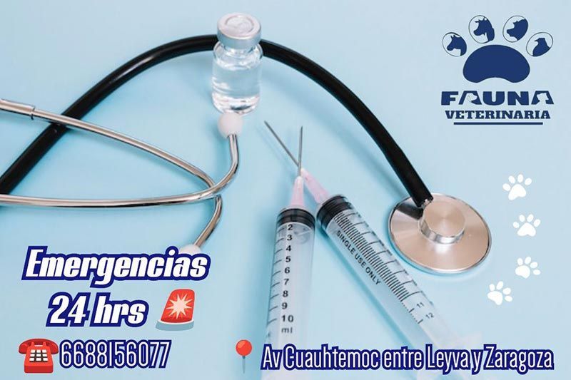 HOSPITAL VETERINARIO FAUNA