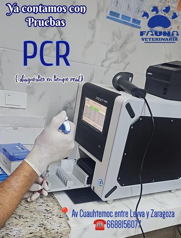 HOSPITAL VETERINARIO FAUNA