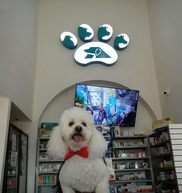 HOSPITAL VETERINARIO FAUNA