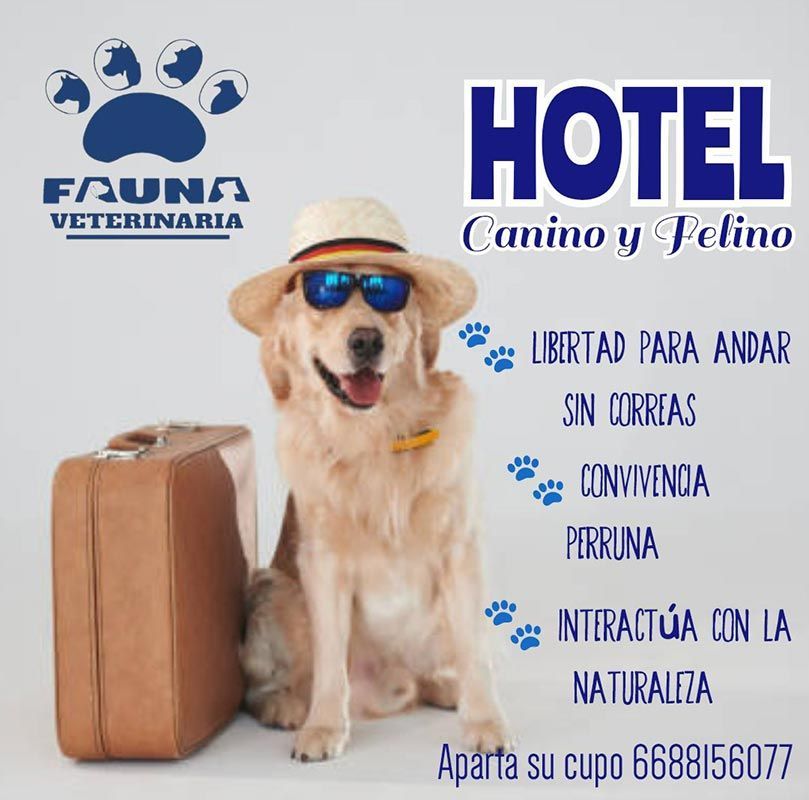 HOSPITAL VETERINARIO FAUNA