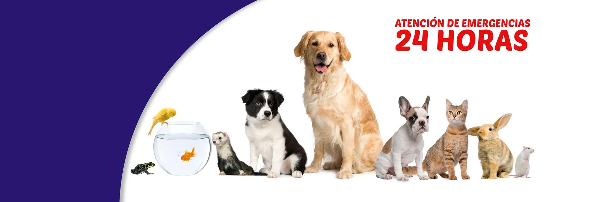 HOSPITAL VETERINARIO FAUNA